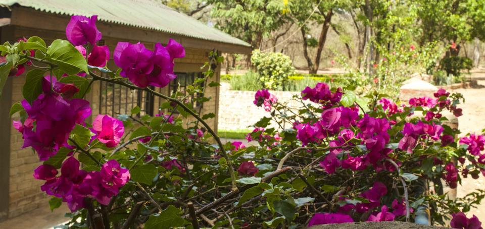 Woodlands Lilongwe Hotel Buitenkant foto