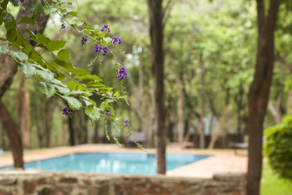 Woodlands Lilongwe Hotel Buitenkant foto
